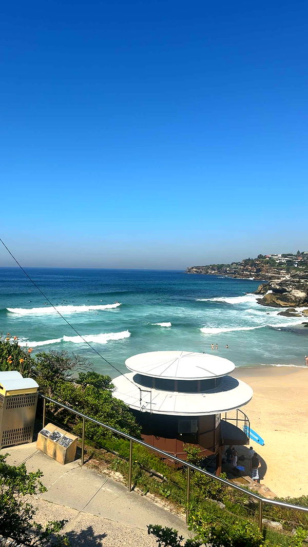 ppwyang0 image ~ Altpins