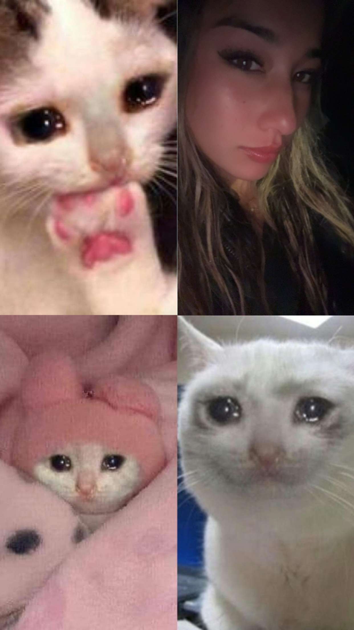 ppwyang0 snapchat image archive image