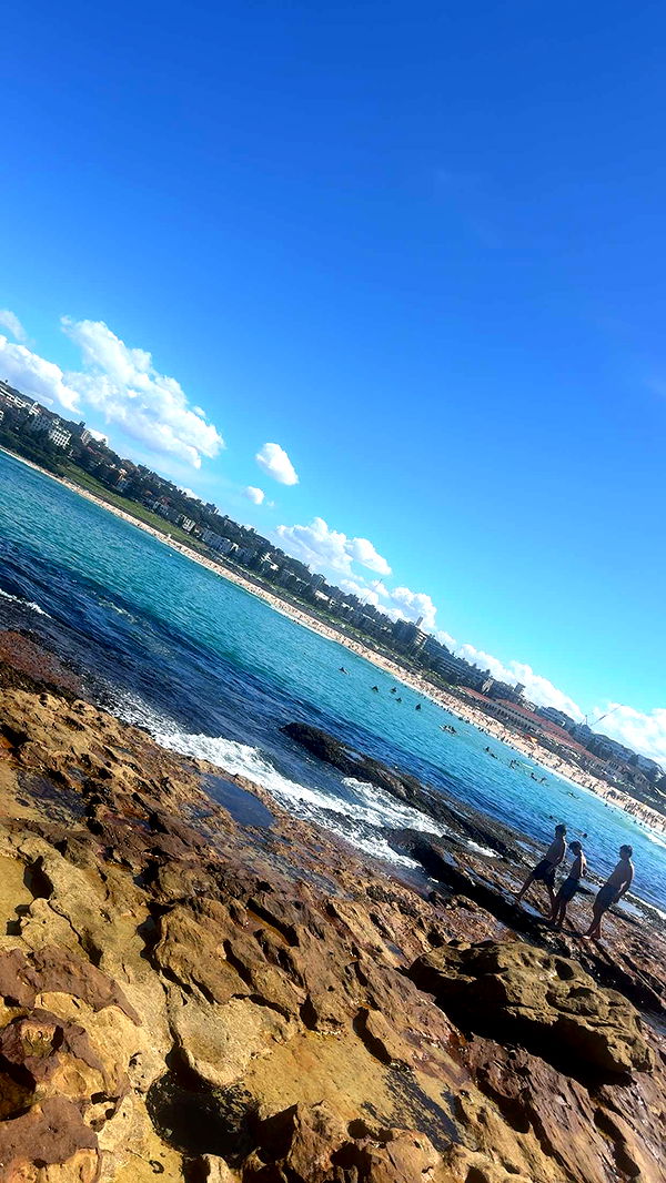 ppwyang0 image ~ Altpins