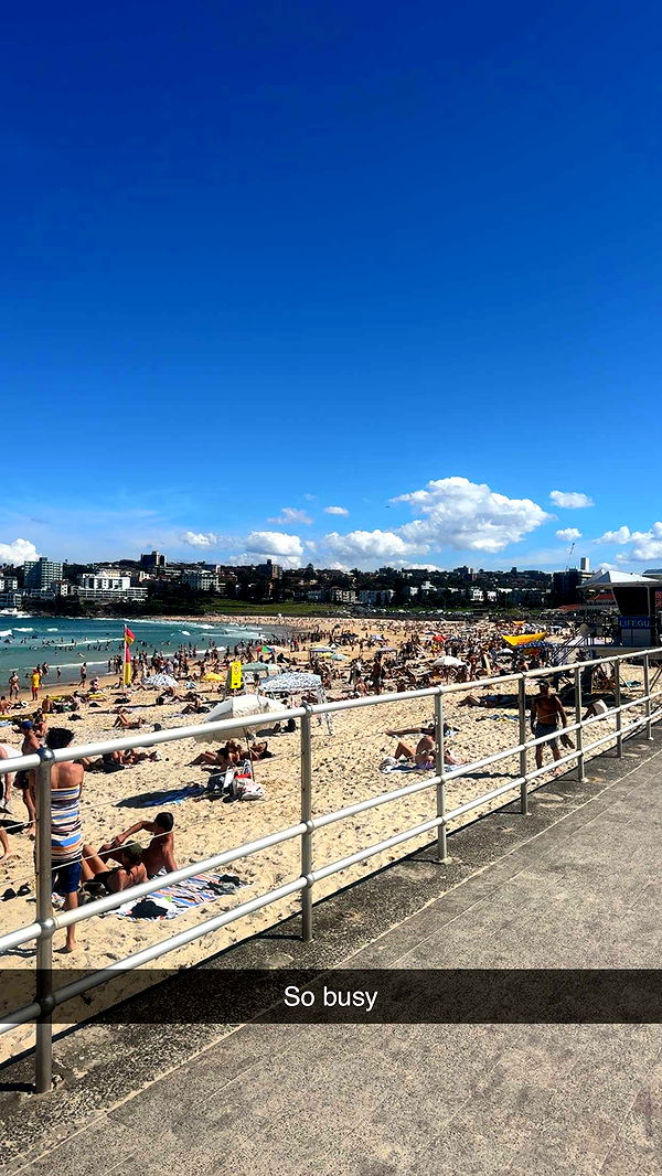 ppwyang0 image ~ Altpins