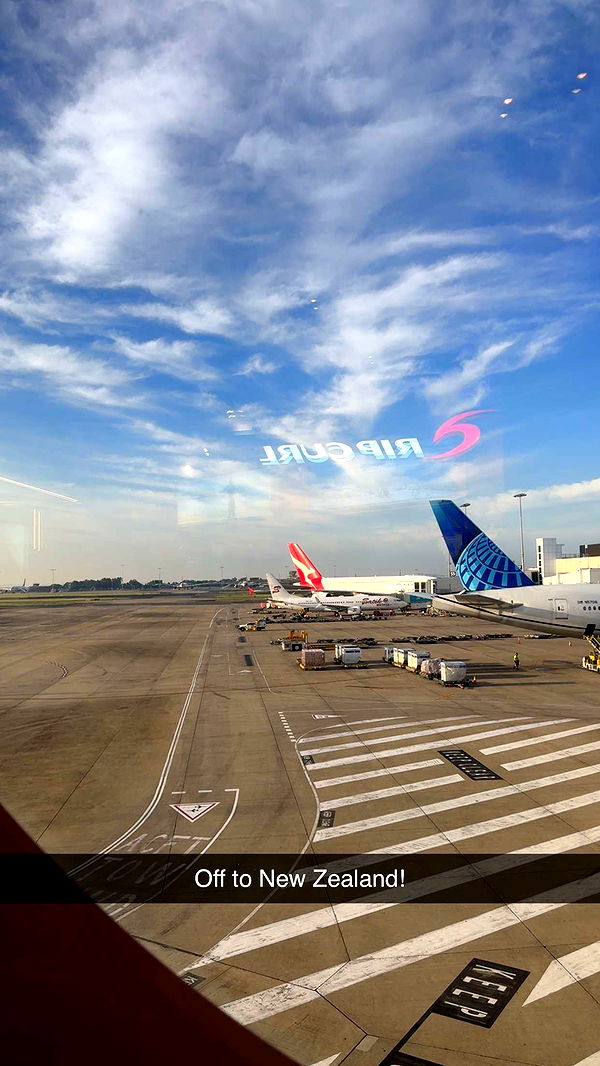 ppwyang0 image ~ Altpins