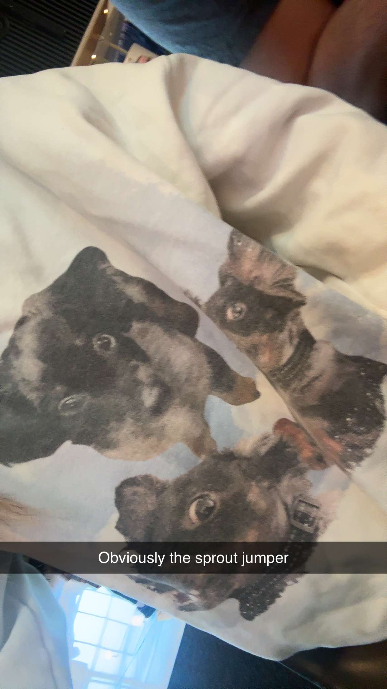 ppwyang0 snapchat image archive image