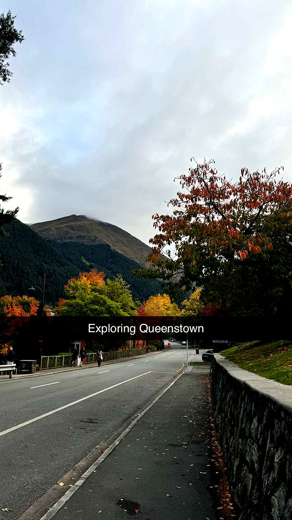 ppwyang0 image ~ Altpins