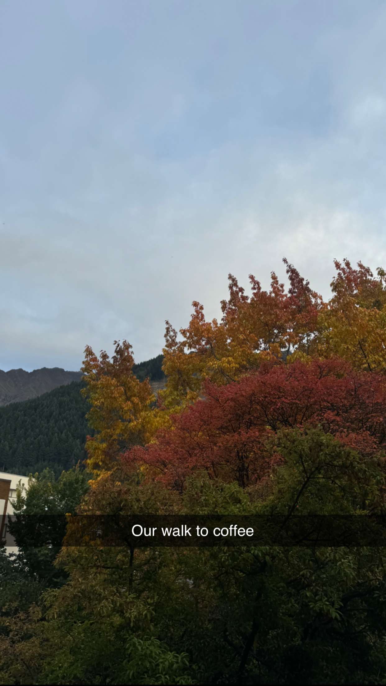 ppwyang0 snapchat image archive image