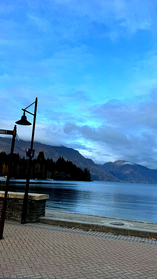 ppwyang0 image ~ Altpins