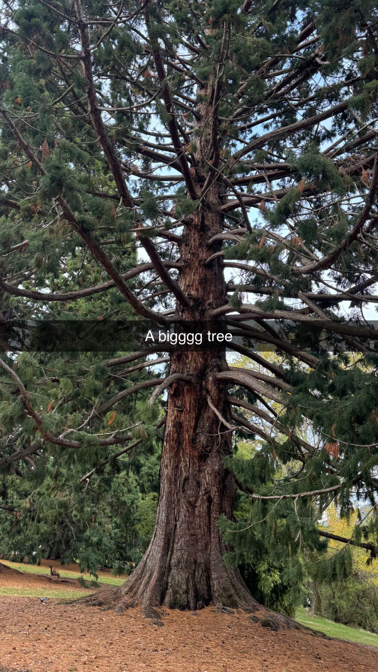 ppwyang0 snapchat image archive image