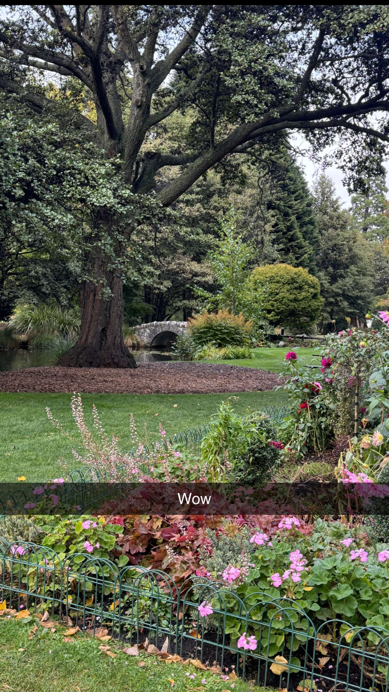 ppwyang0 snapchat image archive image