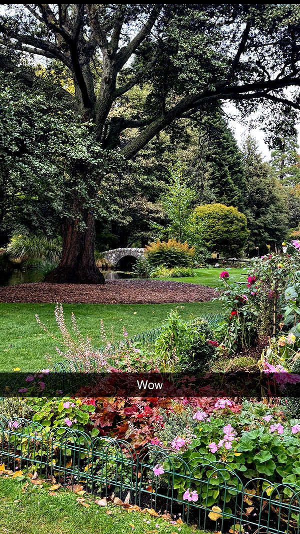 ppwyang0 image ~ Altpins