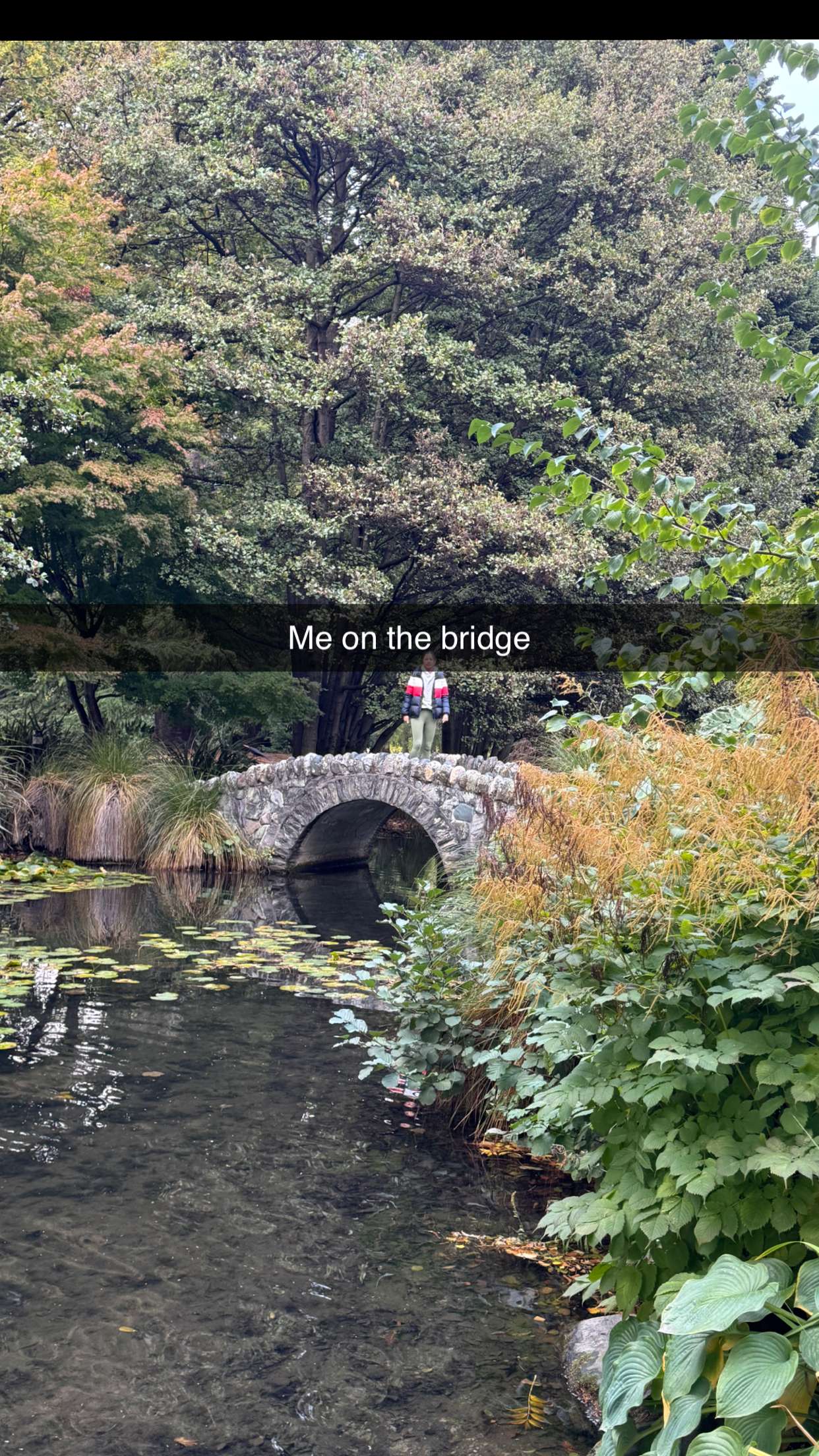 ppwyang0 snapchat image archive image