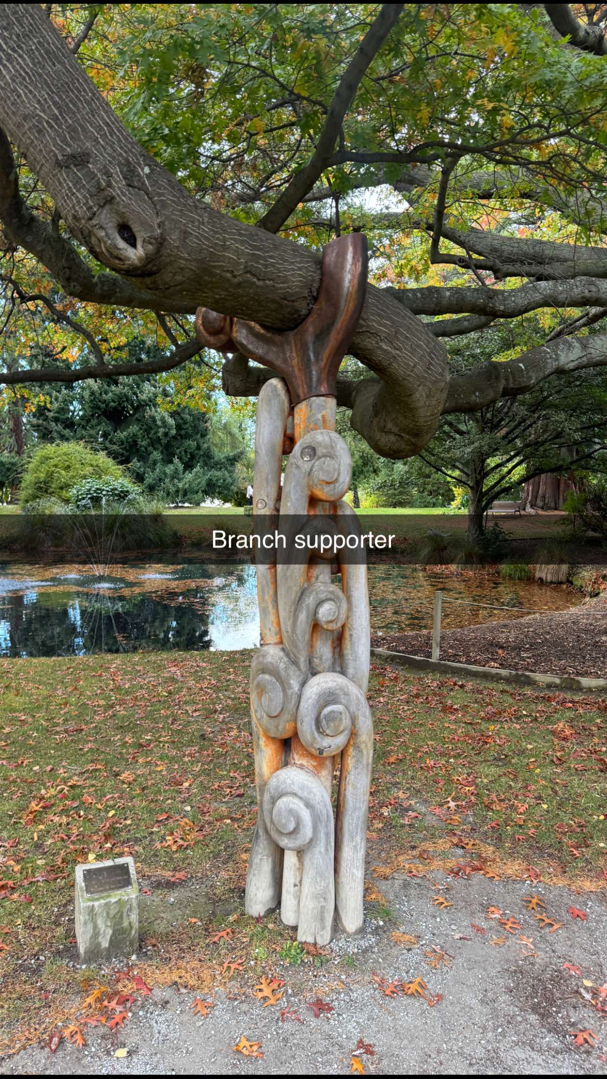 ppwyang0 snapchat image archive image