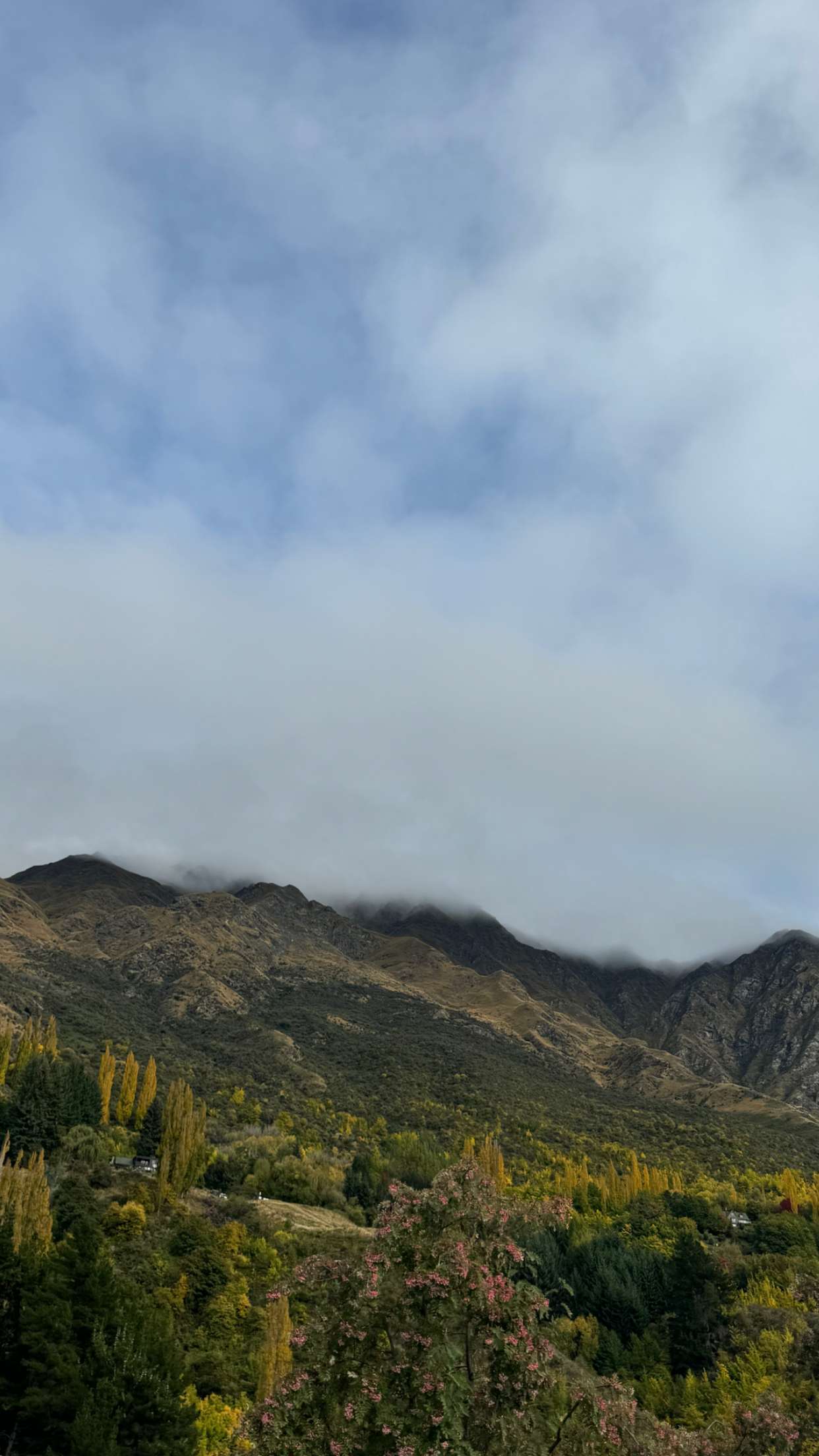 ppwyang0 snapchat image archive image