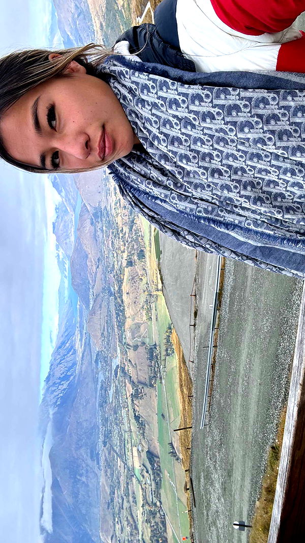 ppwyang0 image ~ Altpins