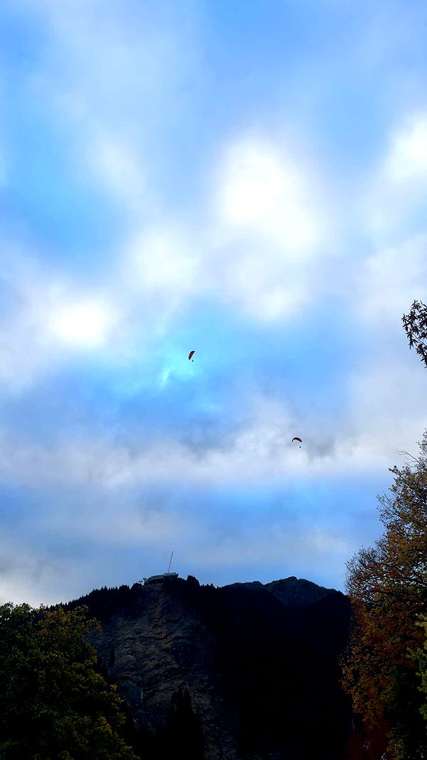 ppwyang0 image ~ Altpins