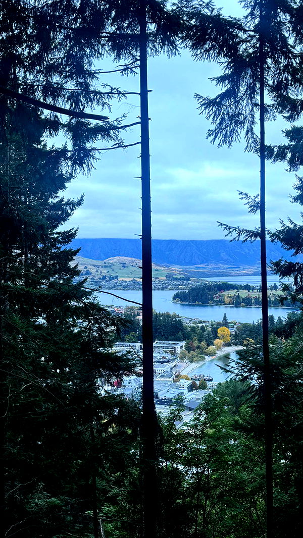 ppwyang0 image ~ Altpins