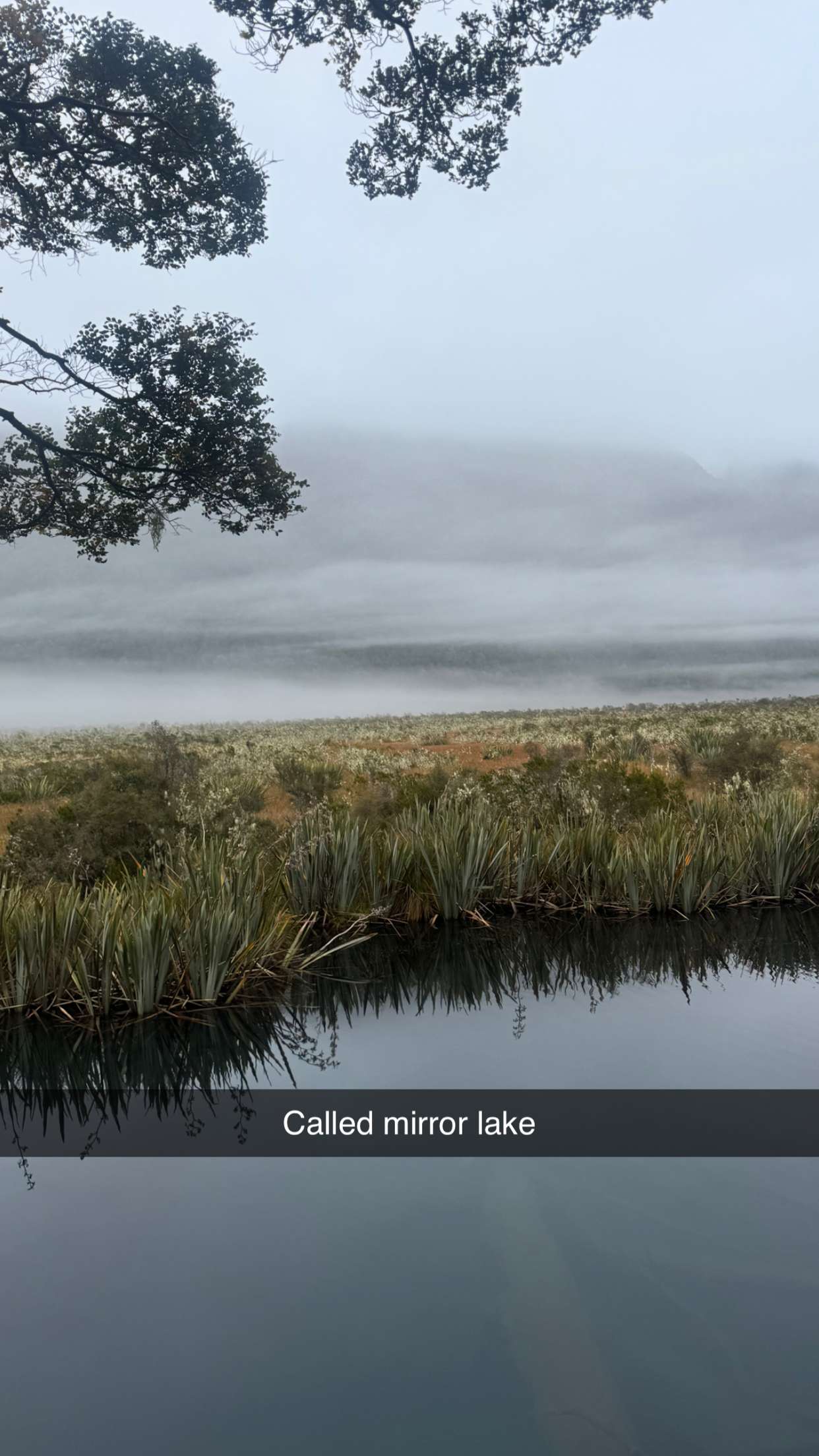 ppwyang0 snapchat image archive image