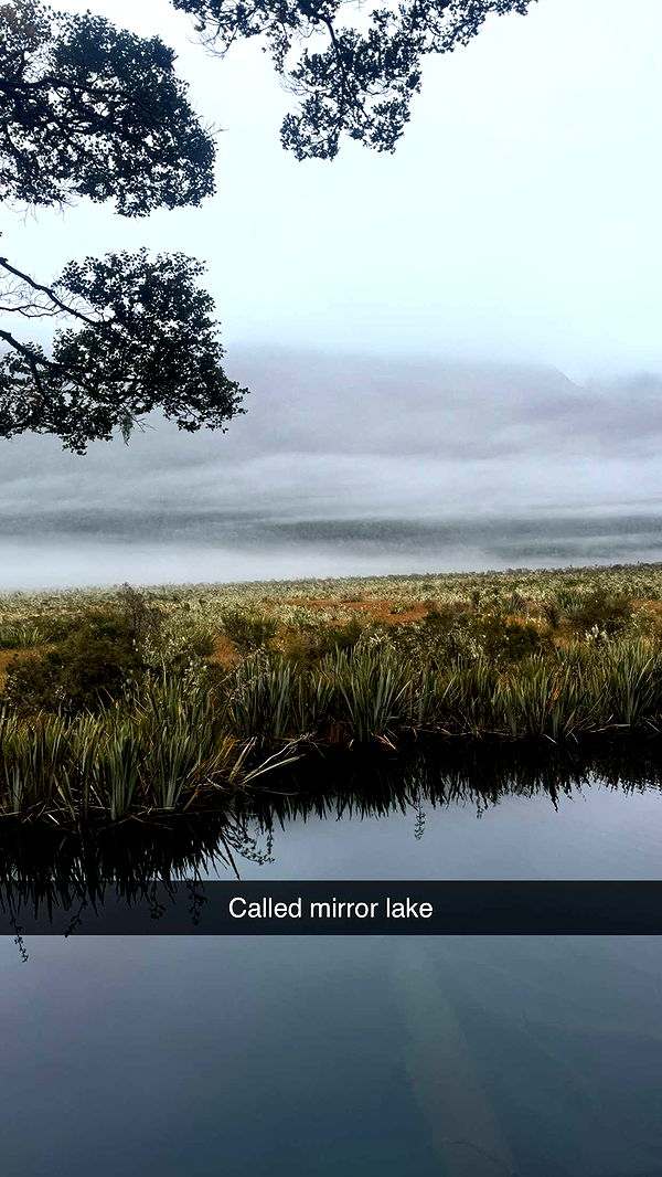 ppwyang0 image ~ Altpins