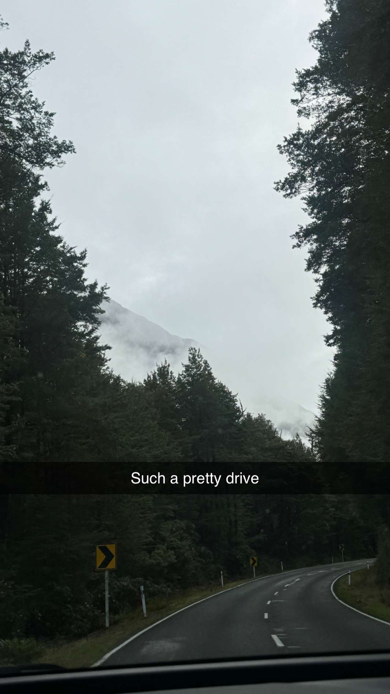 ppwyang0 snapchat image archive image