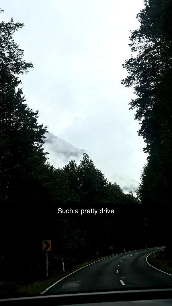 ppwyang0 image ~ Altpins