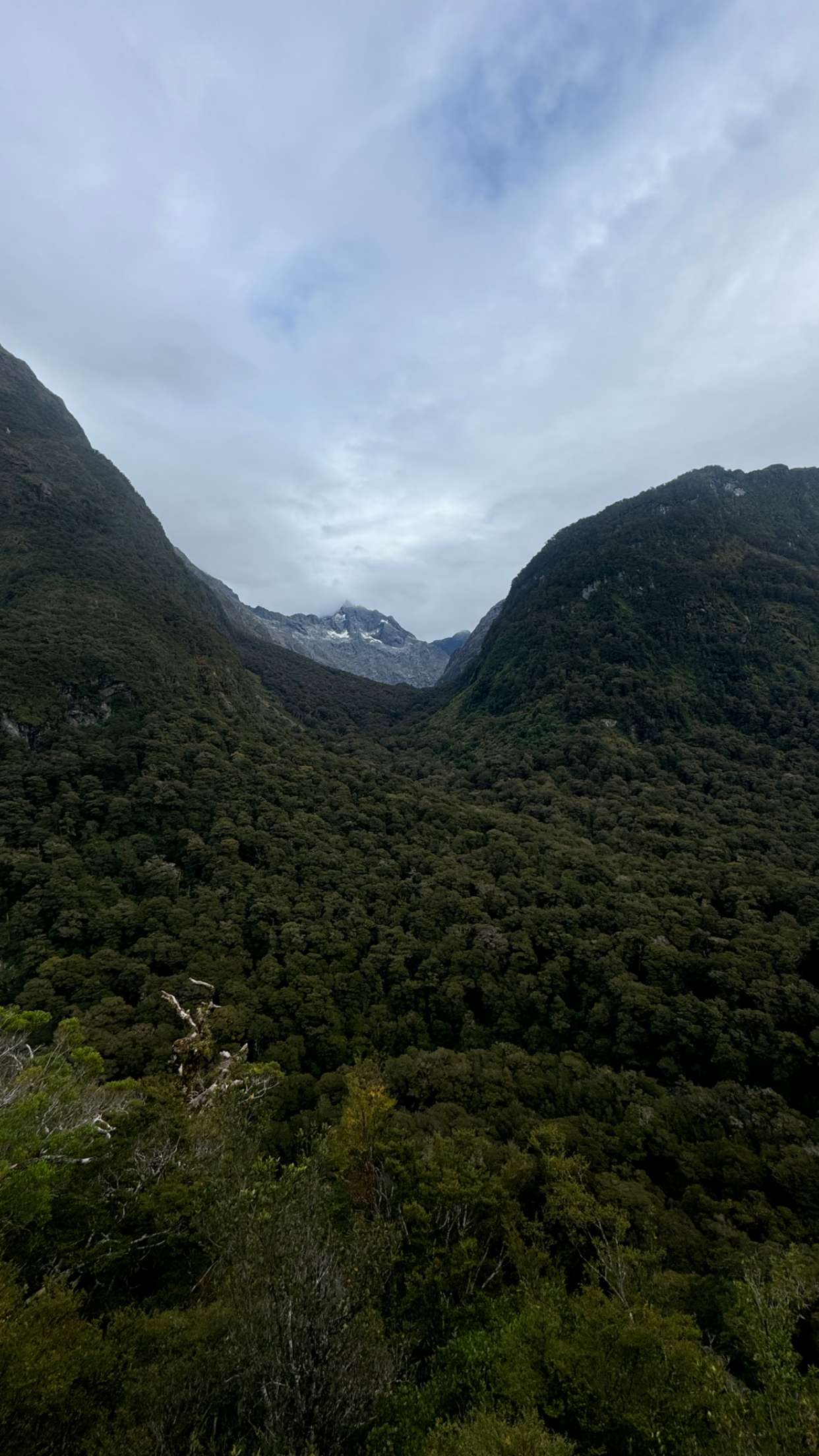 ppwyang0 snapchat image archive image