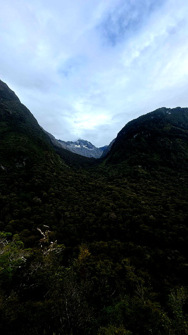 ppwyang0 image ~ Altpins