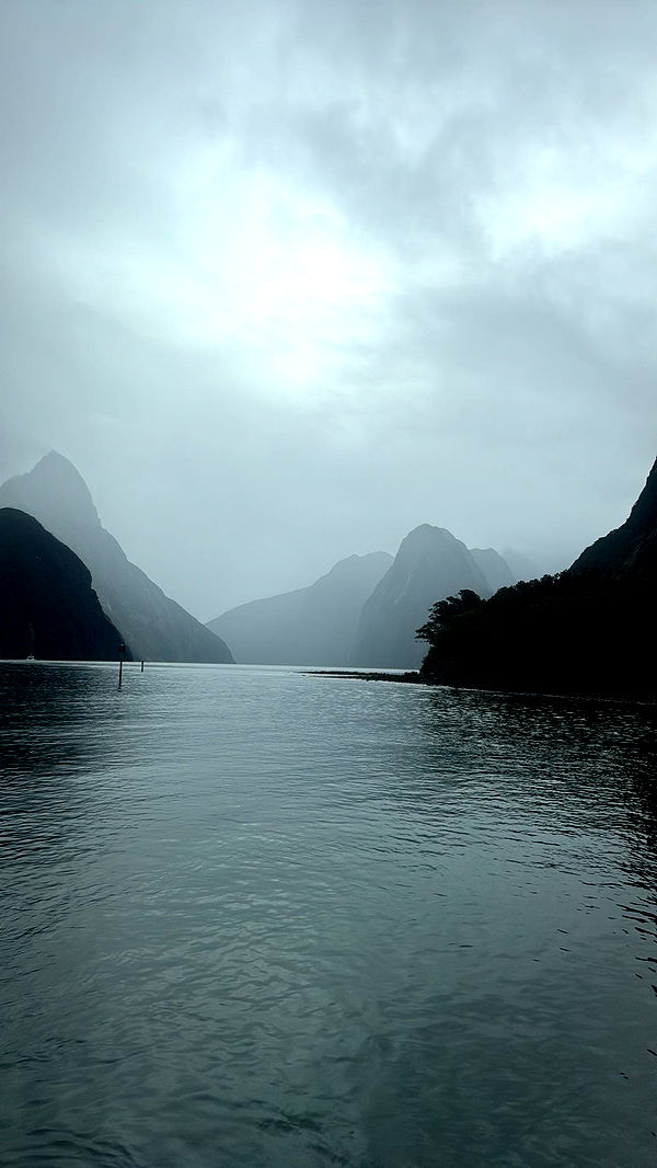 ppwyang0 image ~ Altpins