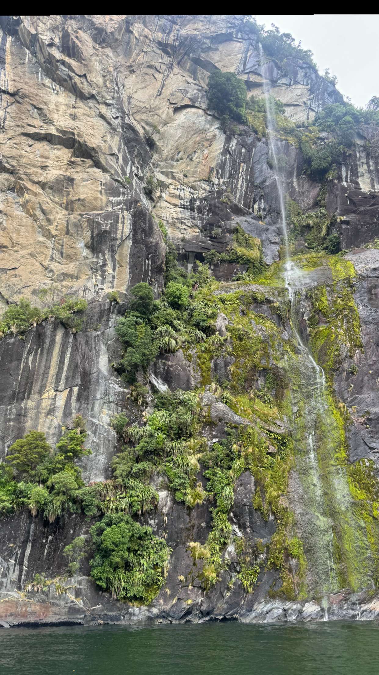 ppwyang0 snapchat image archive image