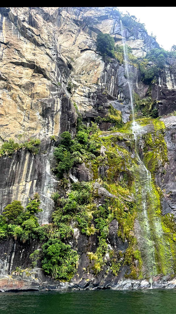 ppwyang0 image ~ Altpins