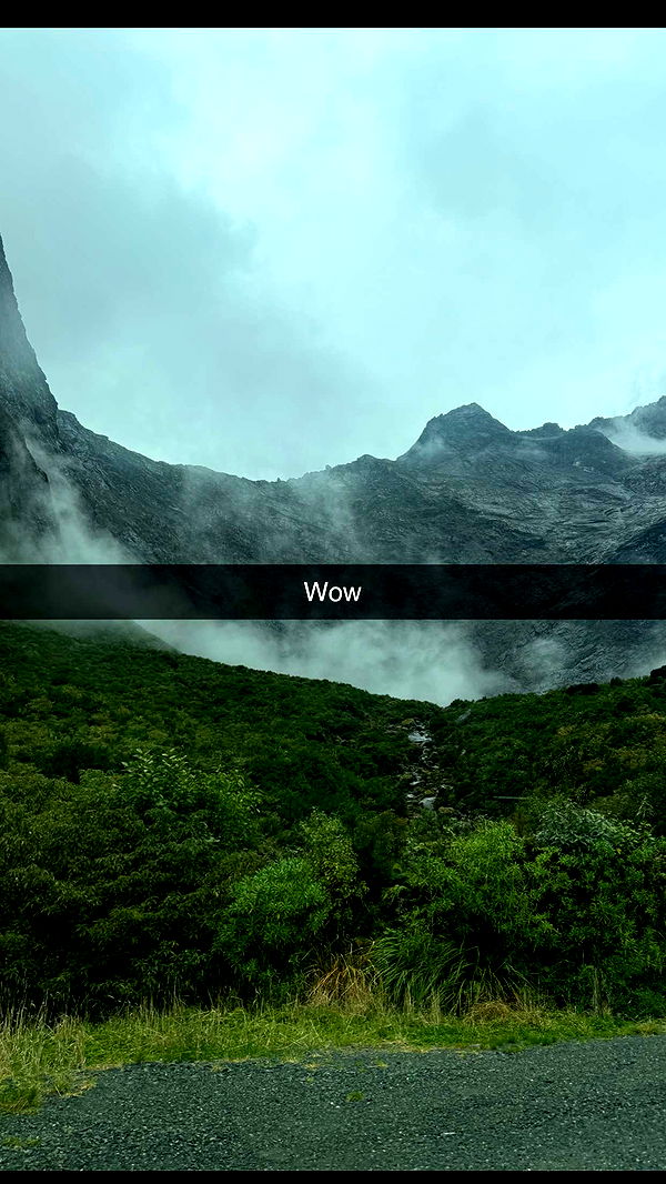 ppwyang0 image ~ Altpins