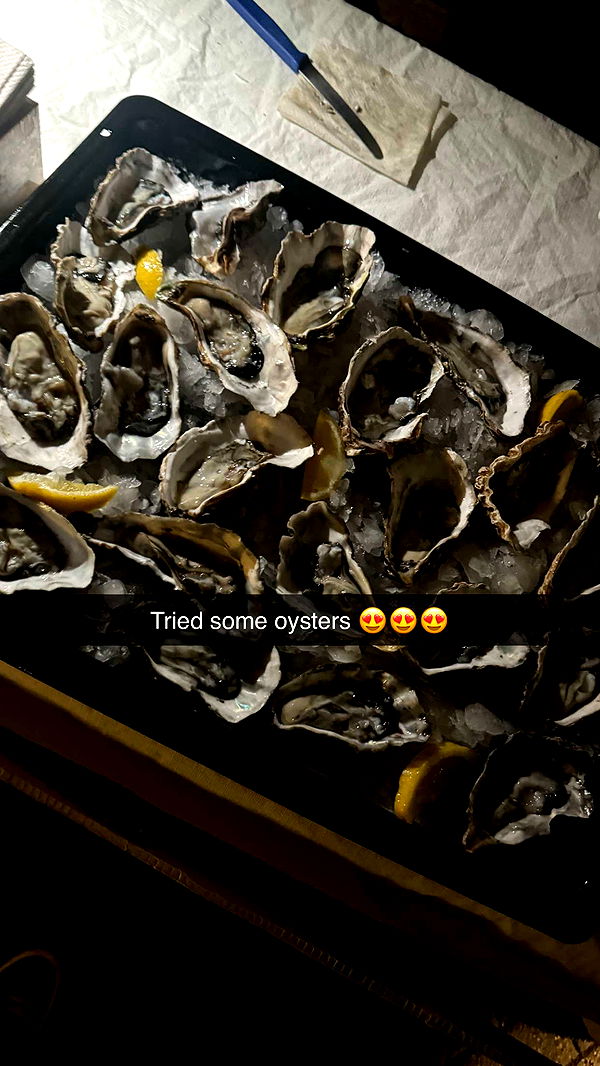 ppwyang0 image ~ Altpins