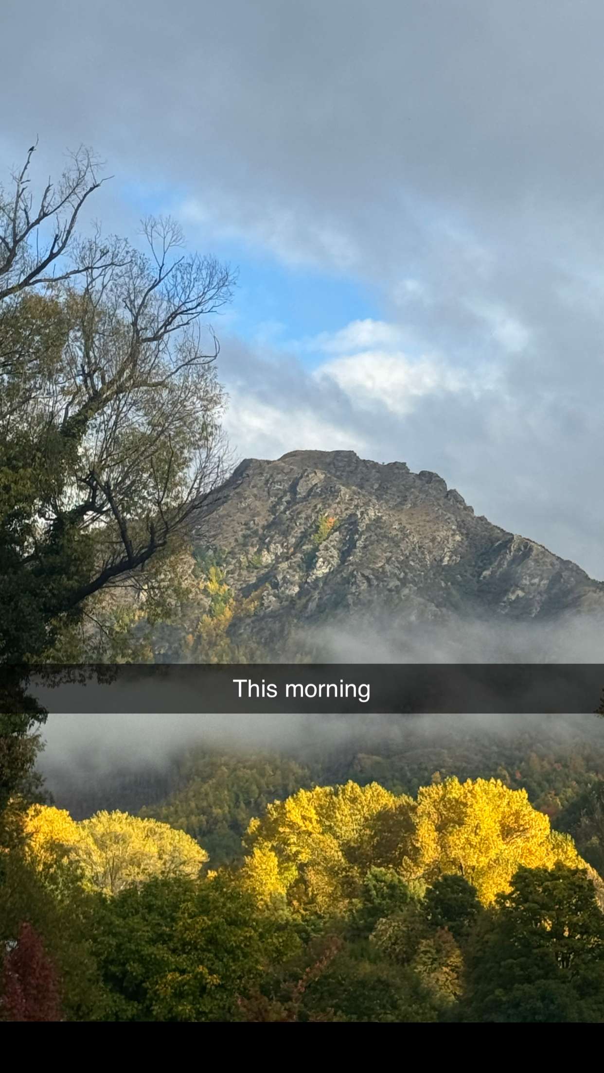 ppwyang0 snapchat image archive image