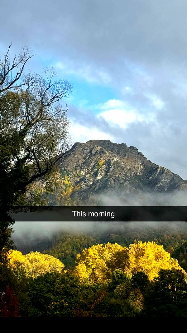 ppwyang0 image ~ Altpins