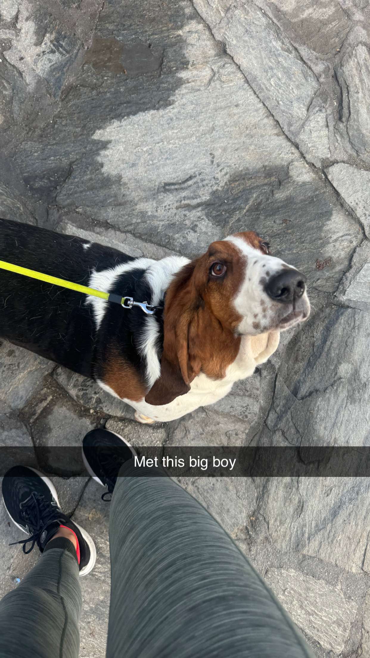 ppwyang0 snapchat image archive image