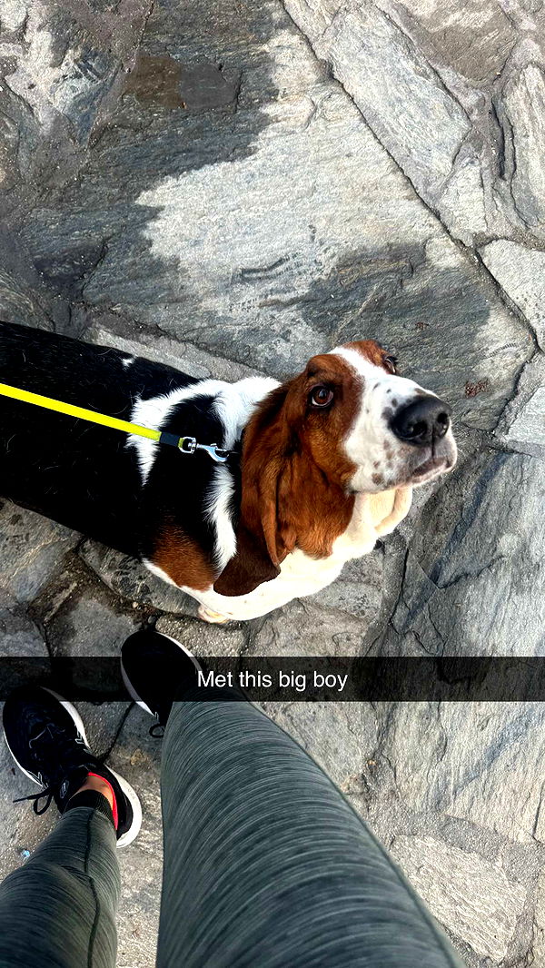 ppwyang0 image ~ Altpins