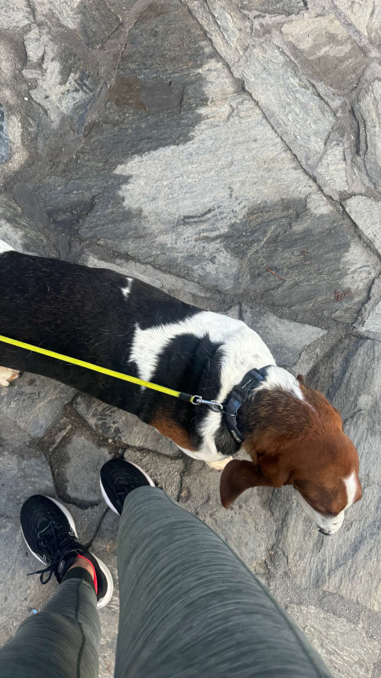 ppwyang0 snapchat image archive image