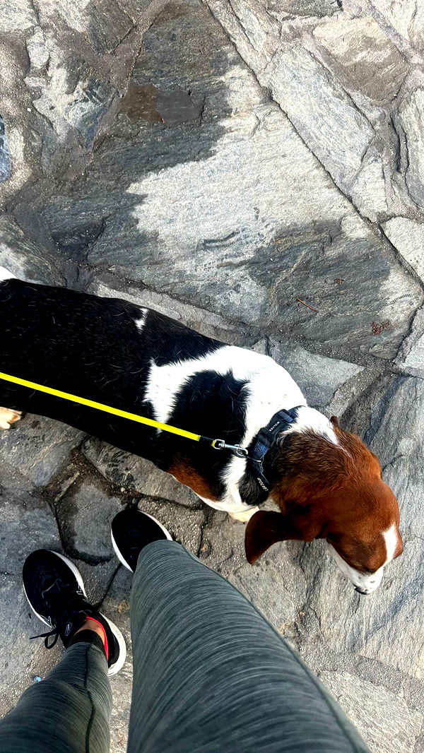 ppwyang0 image ~ Altpins