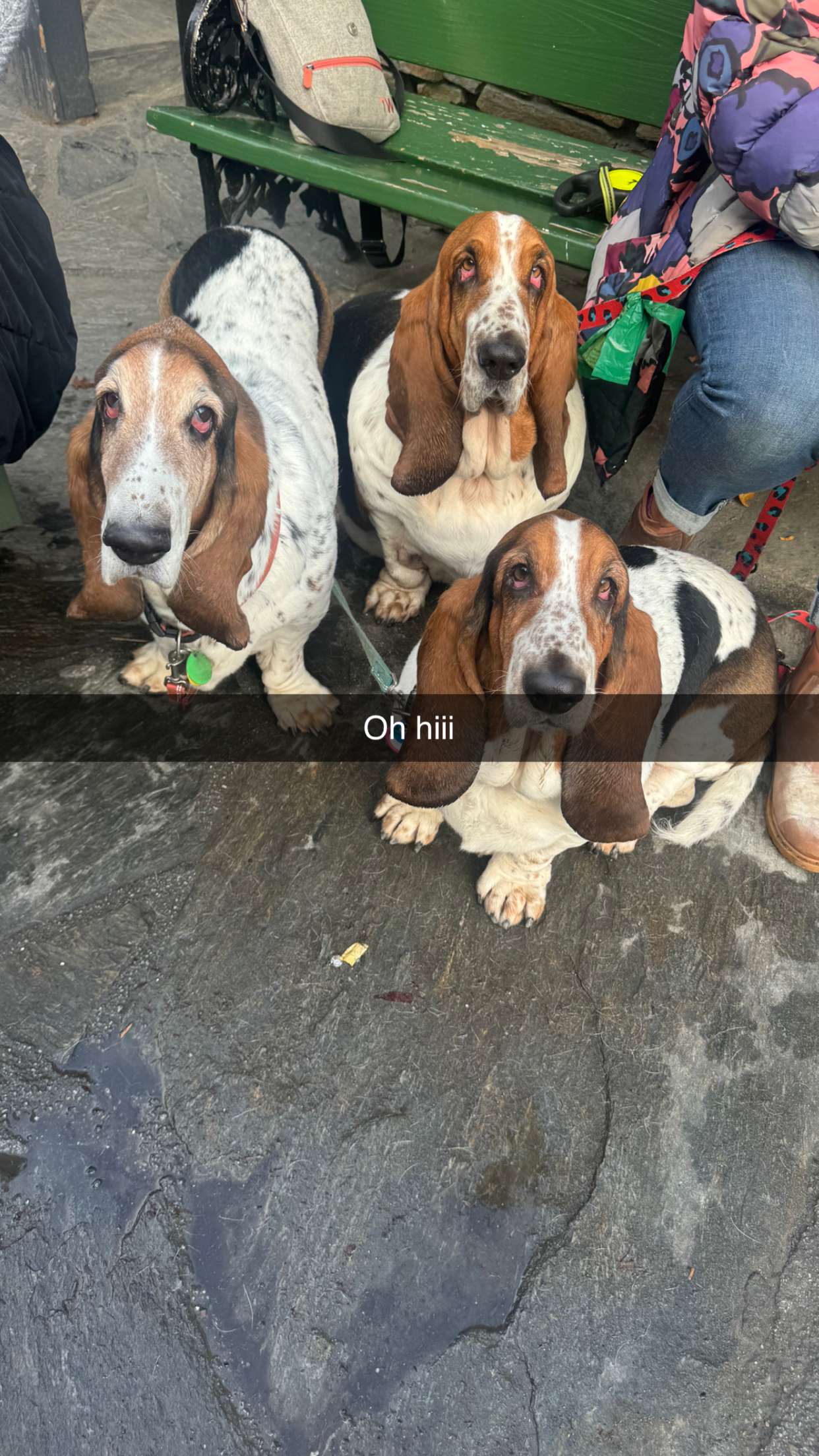 ppwyang0 snapchat image archive image