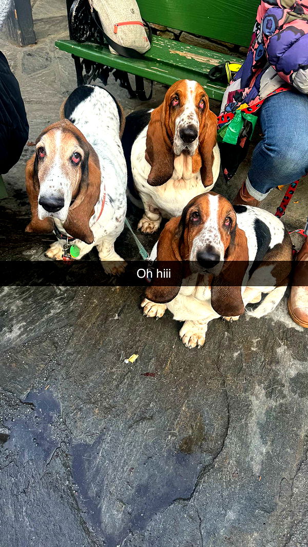 ppwyang0 image ~ Altpins