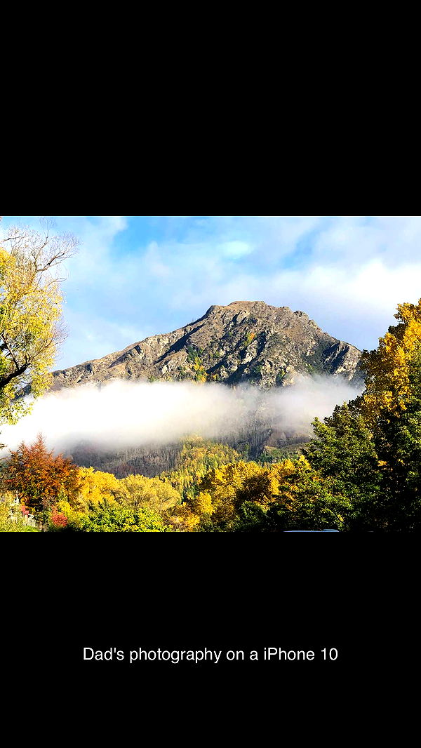 ppwyang0 image ~ Altpins