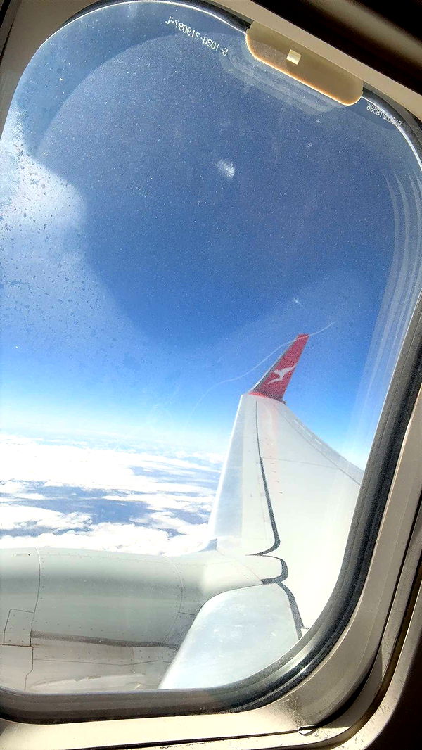 ppwyang0 image ~ Altpins