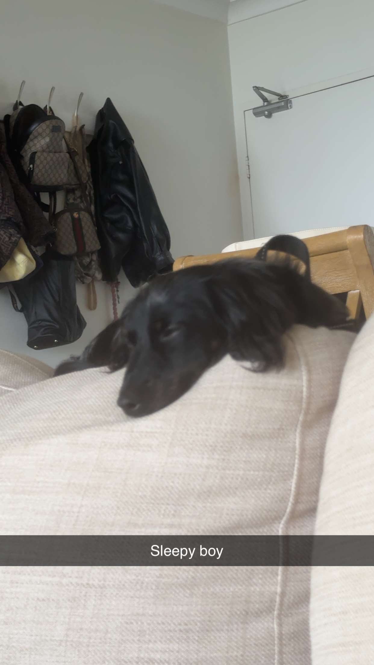 ppwyang0 snapchat image archive image