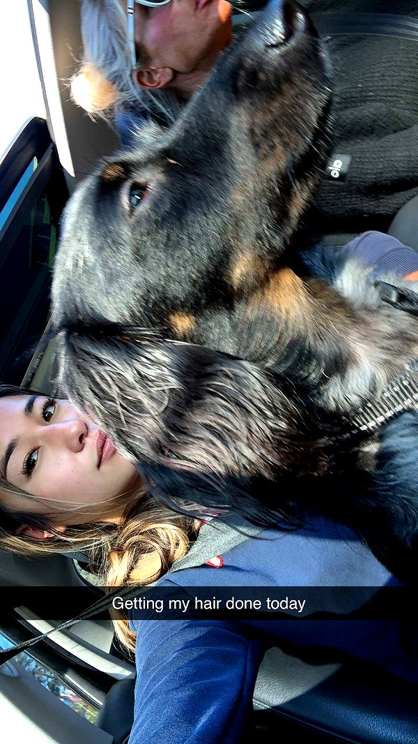 ppwyang0 image ~ Altpins