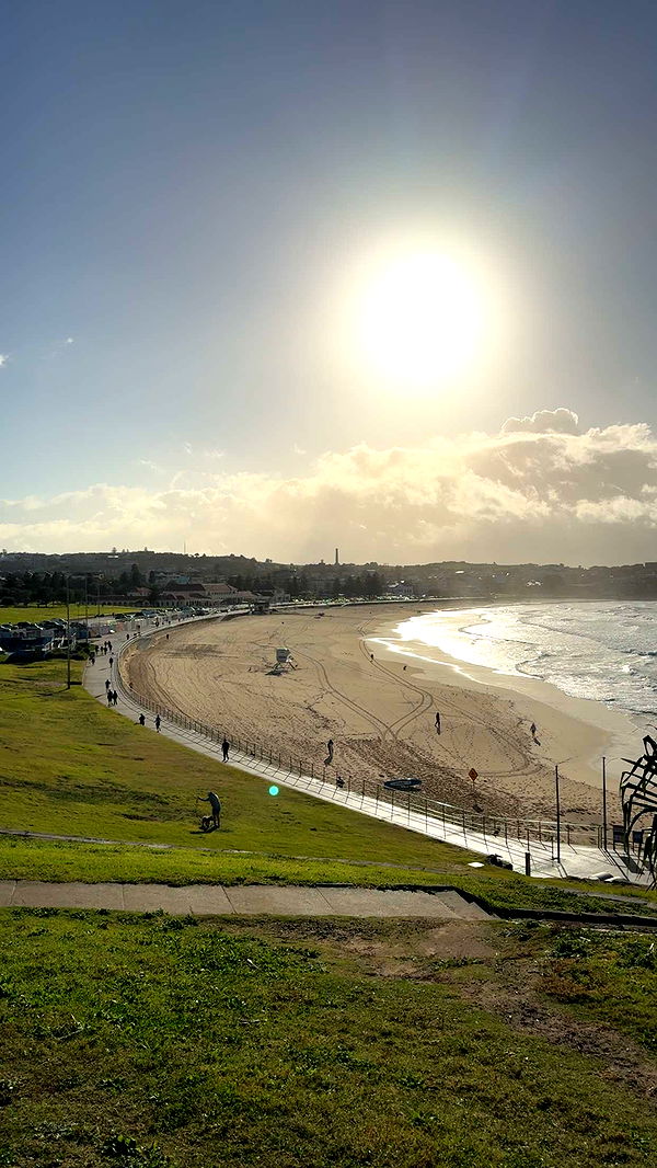 ppwyang0 image ~ Altpins