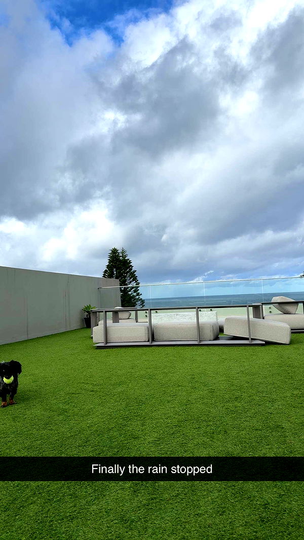 ppwyang0 image ~ Altpins