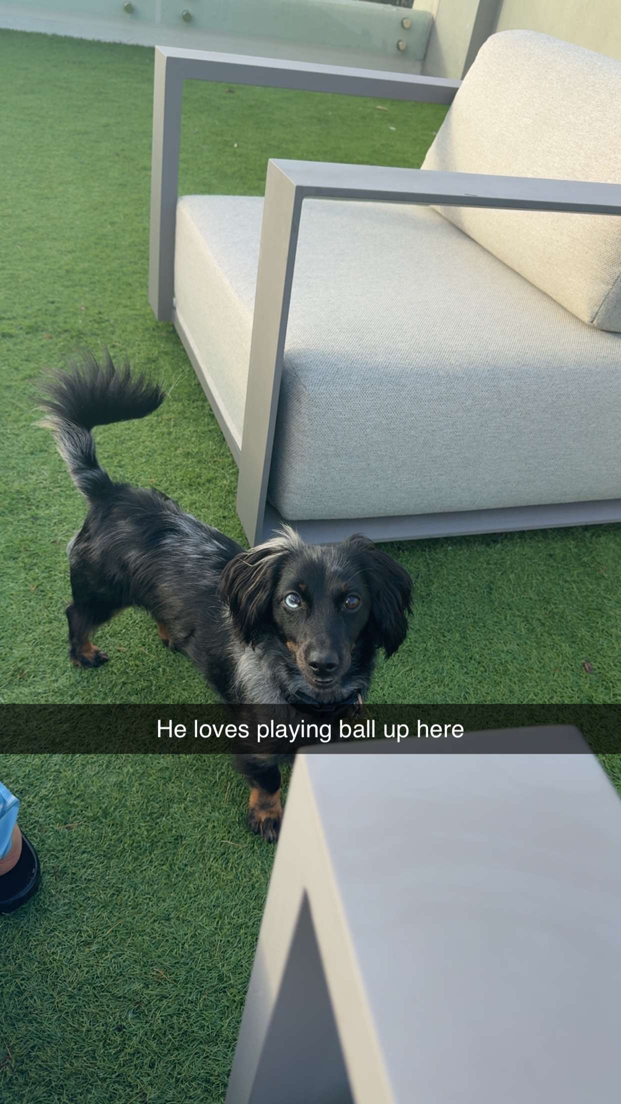 ppwyang0 snapchat image archive image