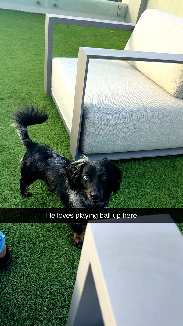 ppwyang0 image ~ Altpins