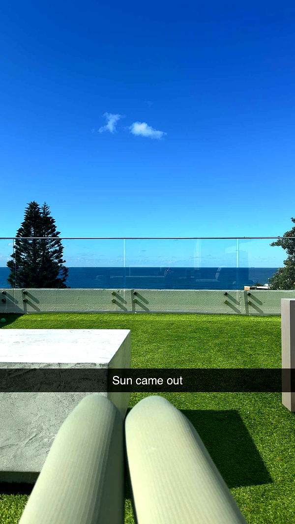 ppwyang0 image ~ Altpins