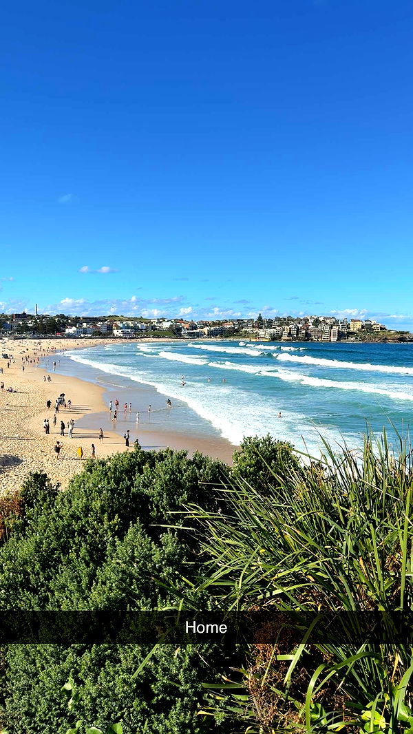 ppwyang0 image ~ Altpins