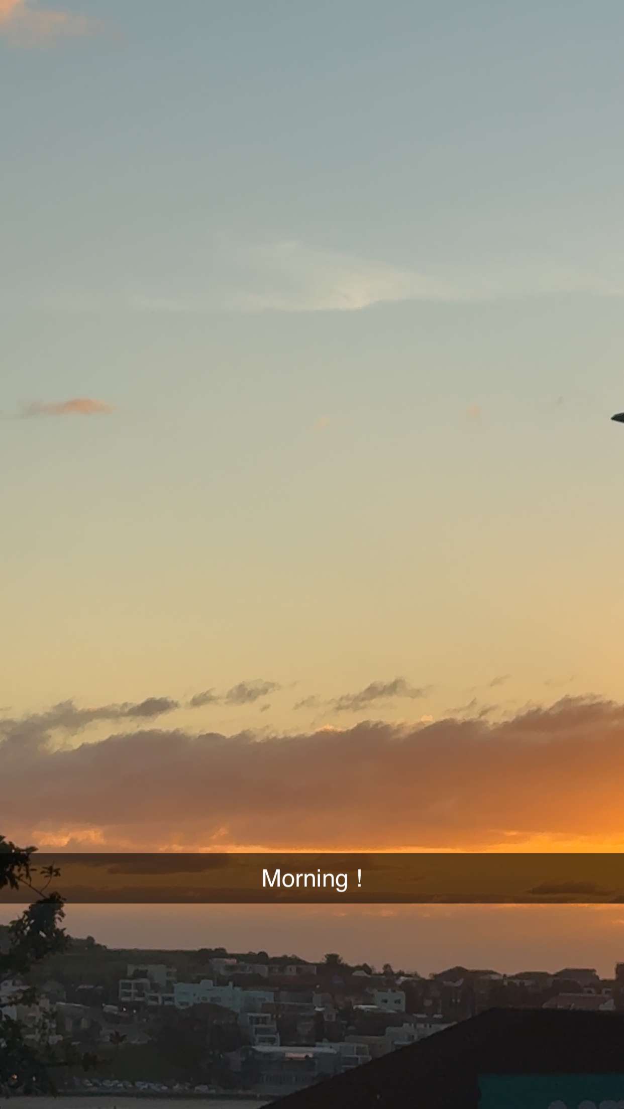 ppwyang0 snapchat image archive image