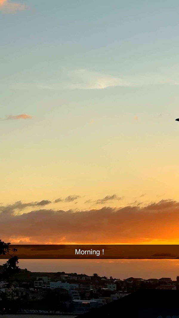 ppwyang0 image ~ Altpins