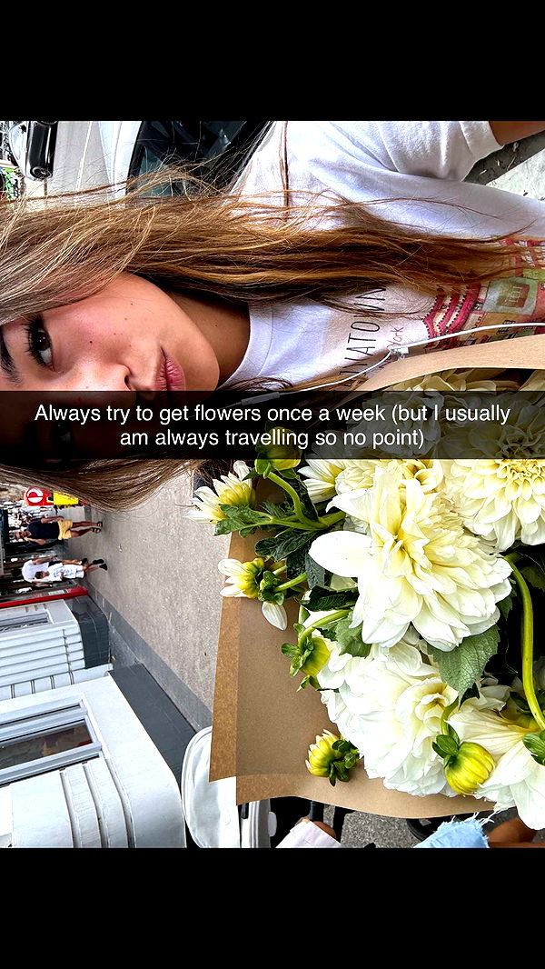 ppwyang0 image ~ Altpins